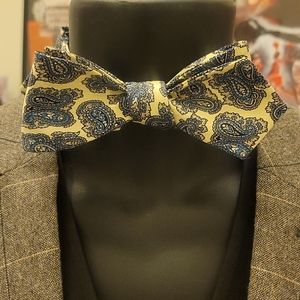 Silk Paisley Bowtie